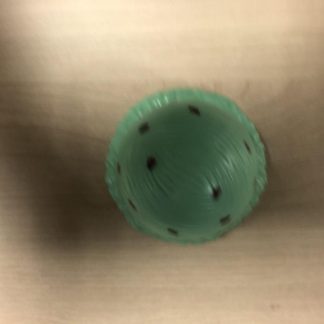 Mint Chocolate Chip Flavor